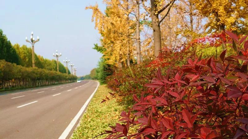 漫步在景色迷人的网红打卡之地,自然景观网红打卡地