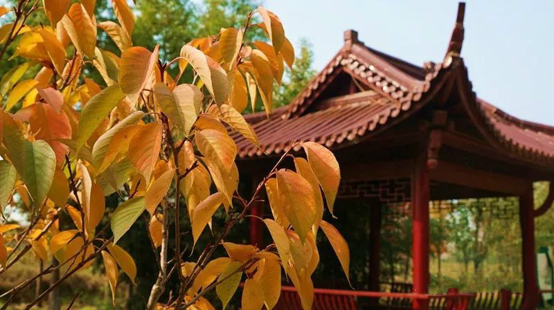 漫步在景色迷人的网红打卡之地,自然景观网红打卡地