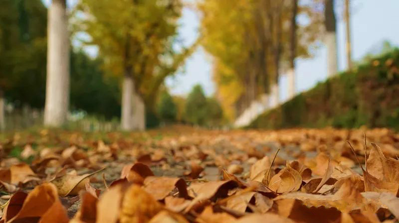 漫步在景色迷人的网红打卡之地,自然景观网红打卡地