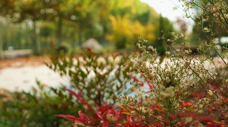 漫步在景色迷人的网红打卡之地,自然景观网红打卡地