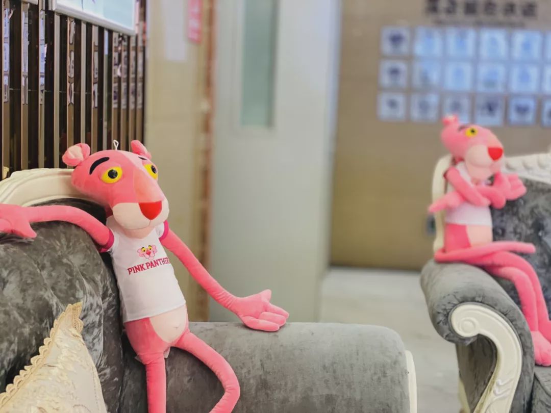 记者节记者日,记者节记者专访