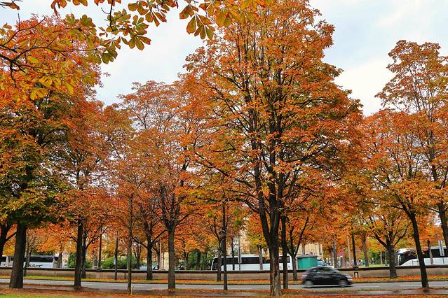 一个人旅行遇见最美的天堂,借一场旅行遇见最美的风景