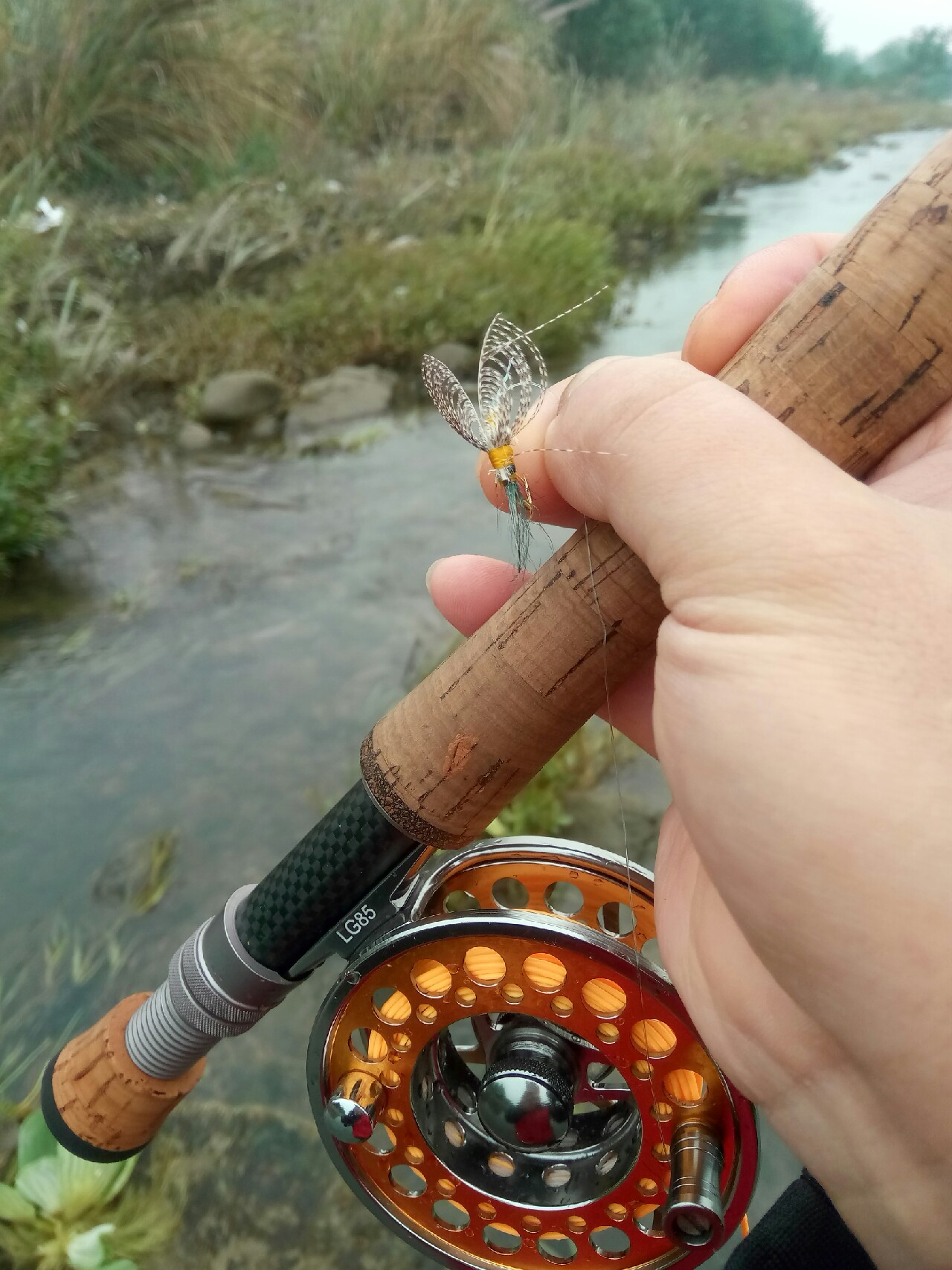 路亚飞蝇钩马口实战,路亚飞蝇钩怎么钓鲤鱼