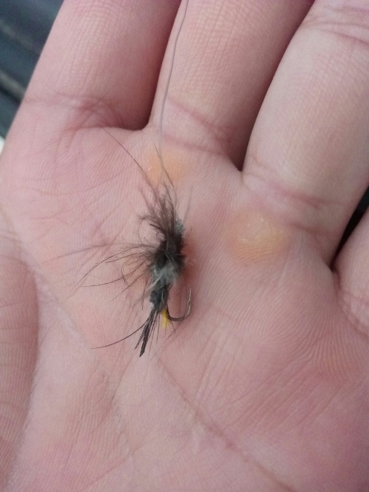 路亚飞蝇钩马口实战,路亚飞蝇钩怎么钓鲤鱼