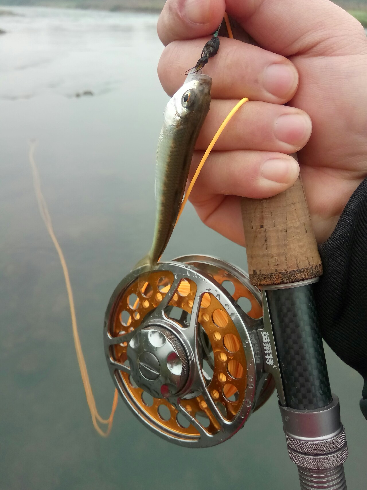 路亚飞蝇钩马口实战,路亚飞蝇钩怎么钓鲤鱼