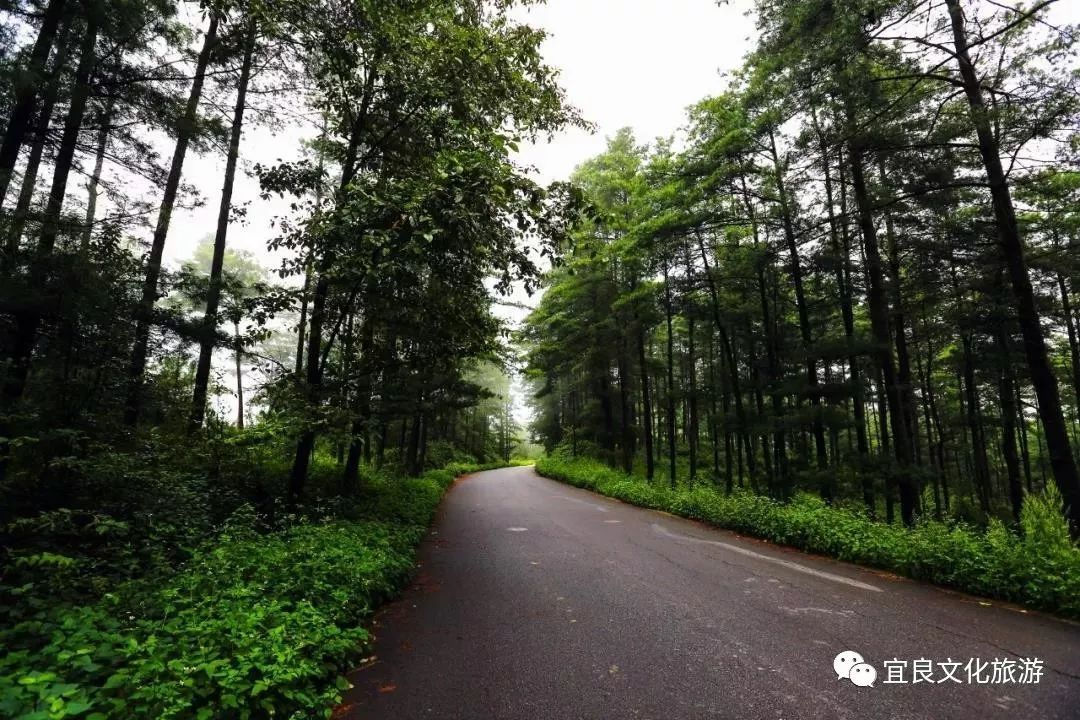 宜良周末游,宜良周末游之探秘北古城