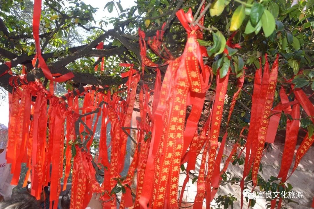 宜良周末游,宜良周末游之探秘北古城