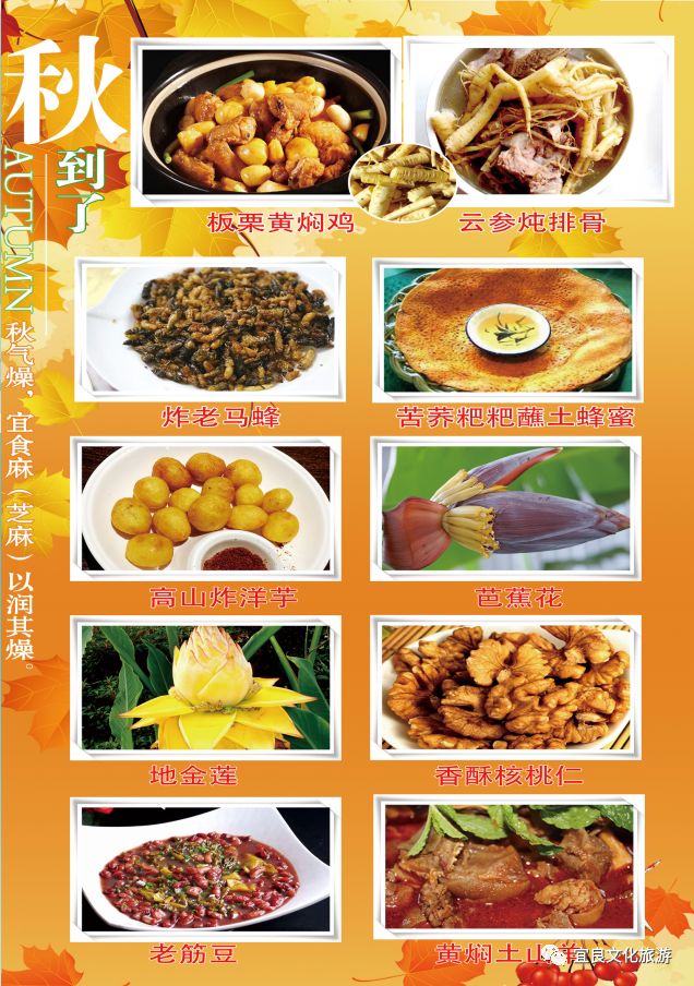 宜良周末游,宜良周末游之探秘北古城