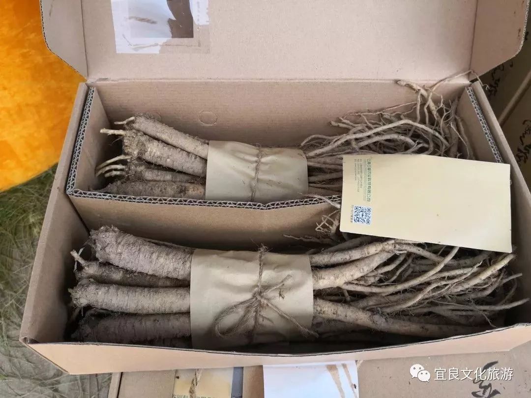 宜良周末游,宜良周末游之探秘北古城