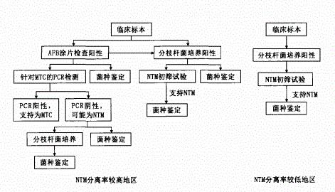 非结核分枝杆菌肺病需要住院多久,非结核分枝杆菌国家是否免费治疗