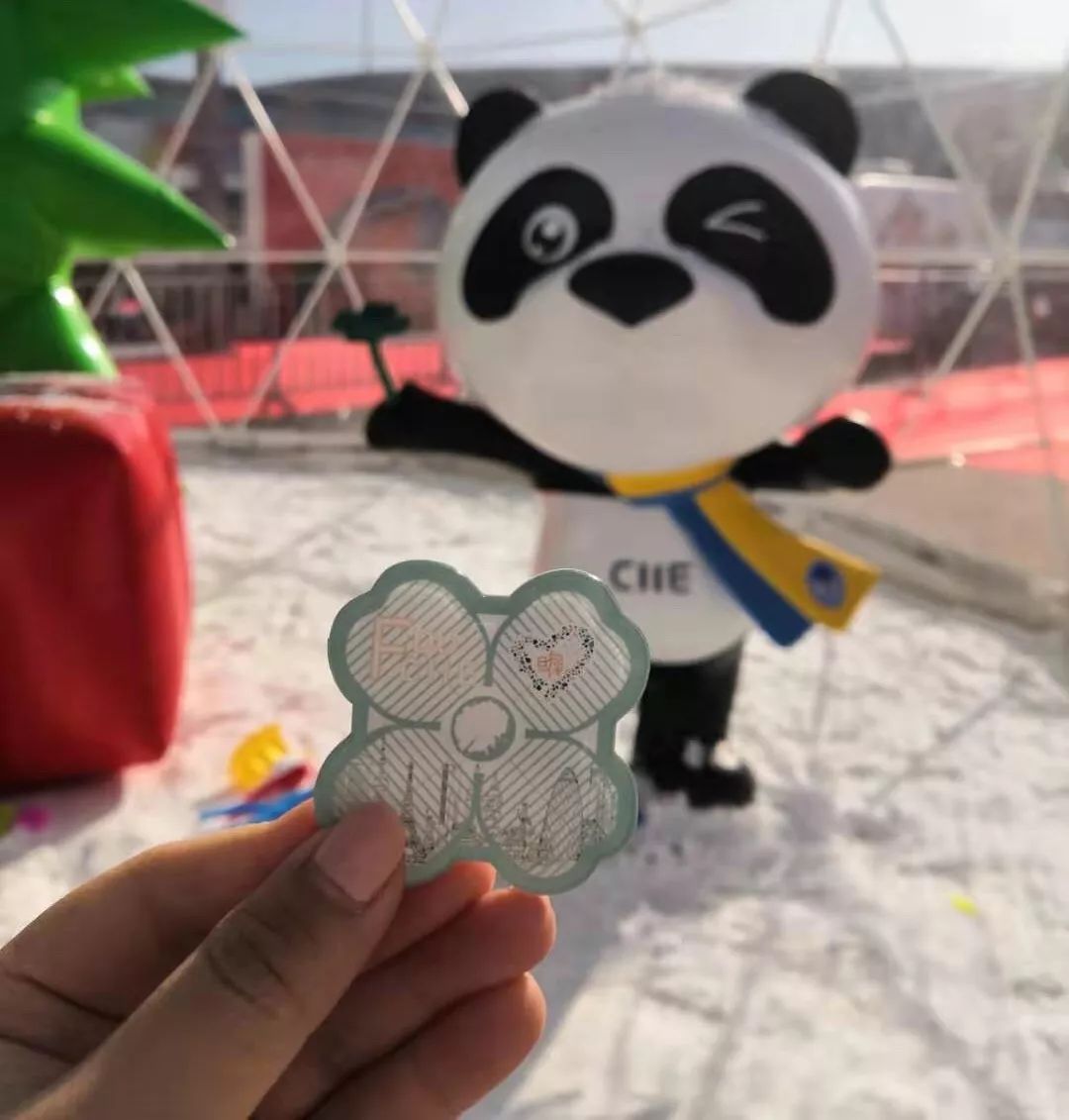 进博会小叶子上海理工大学,进博会中的小叶子