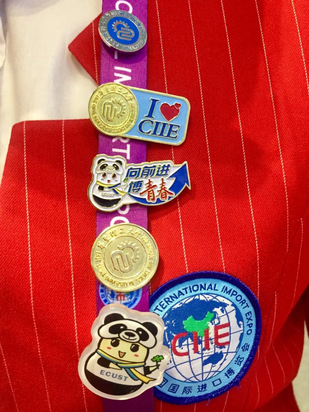 进博会小叶子上海理工大学,进博会中的小叶子