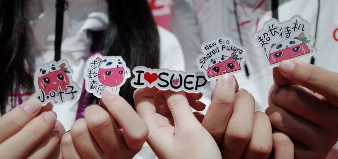 进博会小叶子上海理工大学,进博会中的小叶子