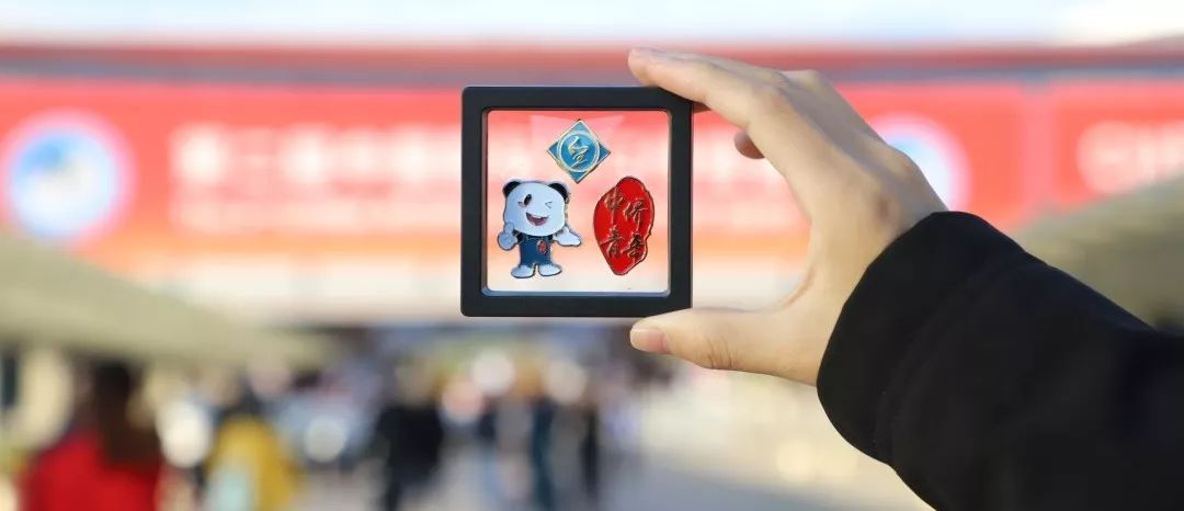 进博会小叶子上海理工大学,进博会中的小叶子