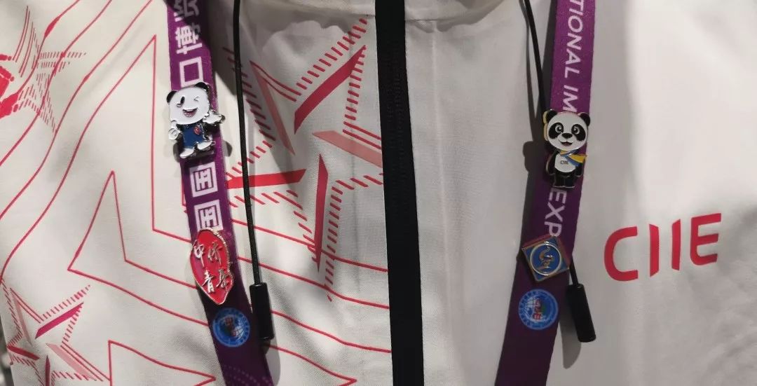 进博会小叶子上海理工大学,进博会中的小叶子