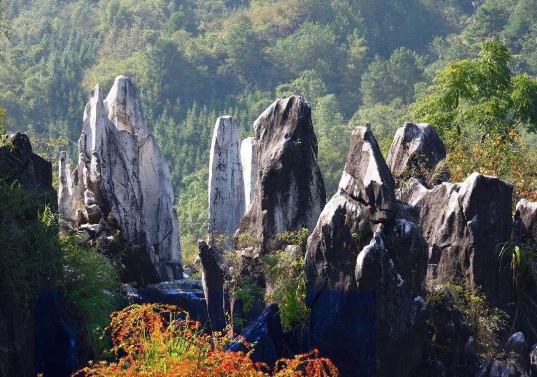 贺州旅游十大最佳景点推荐,广西贺州旅游必去十大景点排名