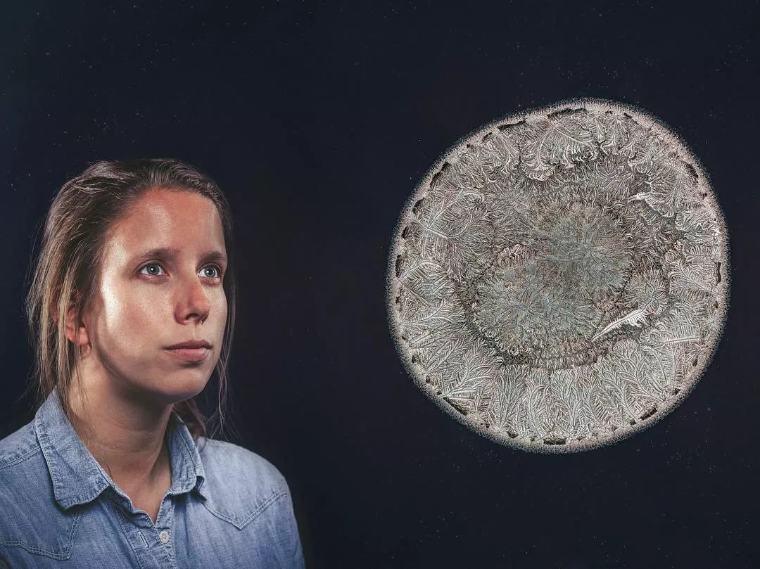 显微镜下的各种眼泪,显微镜下的眼泪原版