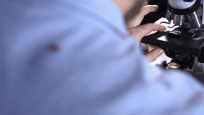 显微镜下的各种眼泪,显微镜下的眼泪原版