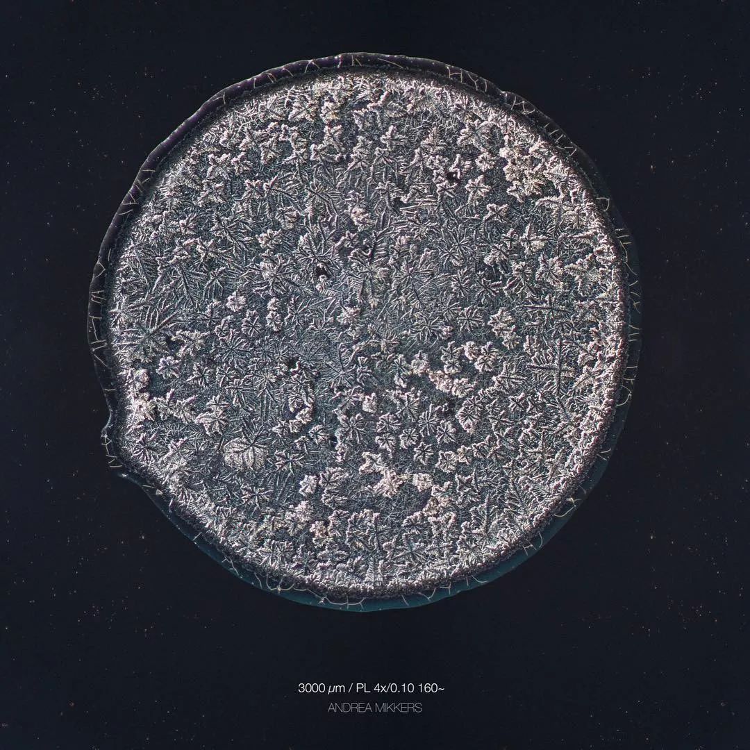 显微镜下的各种眼泪,显微镜下的眼泪原版