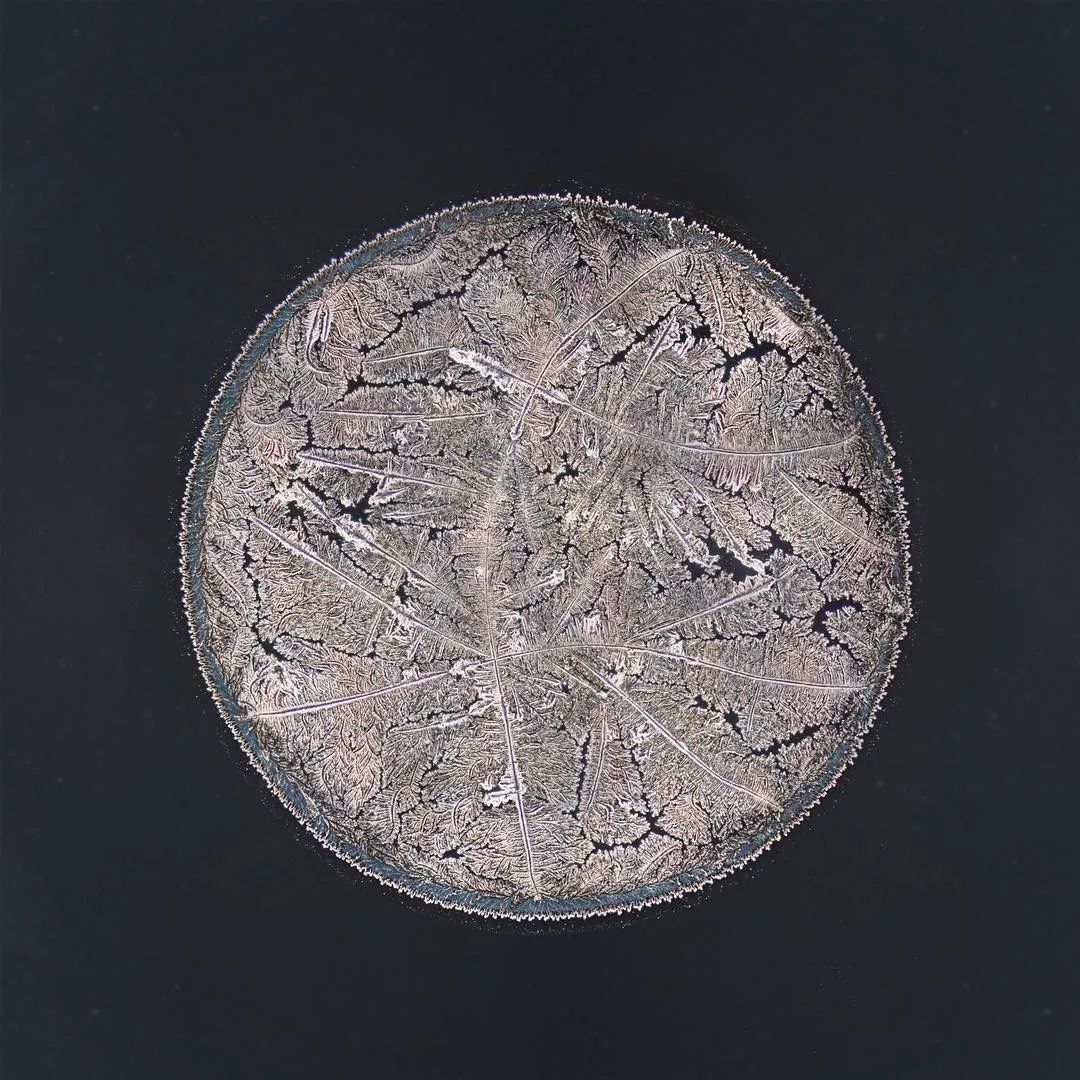 显微镜下的各种眼泪,显微镜下的眼泪原版