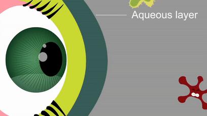 显微镜下的各种眼泪,显微镜下的眼泪原版