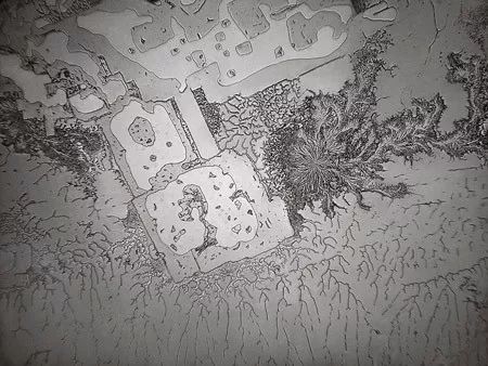 显微镜下的各种眼泪,显微镜下的眼泪原版