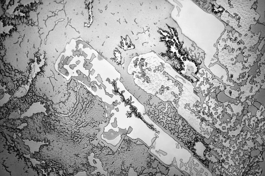 显微镜下的各种眼泪,显微镜下的眼泪原版