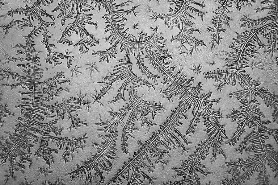 显微镜下的各种眼泪,显微镜下的眼泪原版