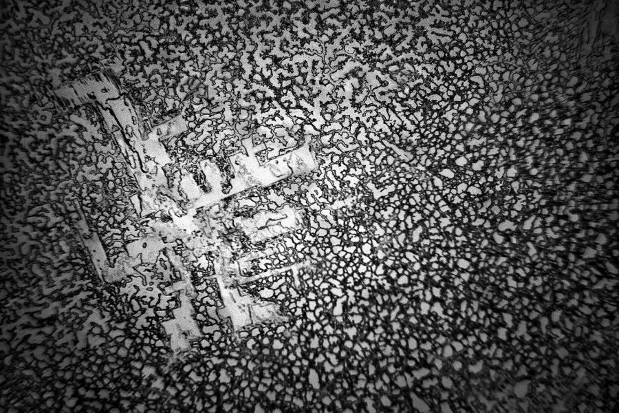 显微镜下的各种眼泪,显微镜下的眼泪原版