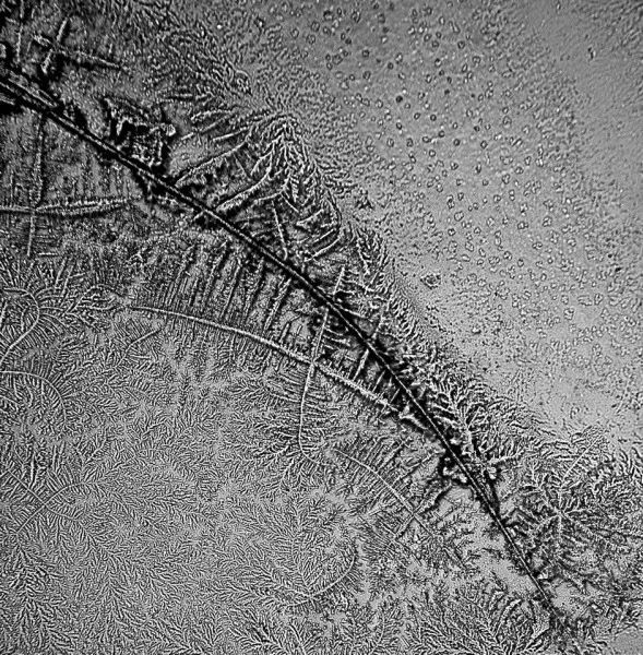 显微镜下的各种眼泪,显微镜下的眼泪原版