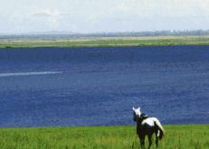 特价机票旅游全国,5月从沈阳出发的特价机票