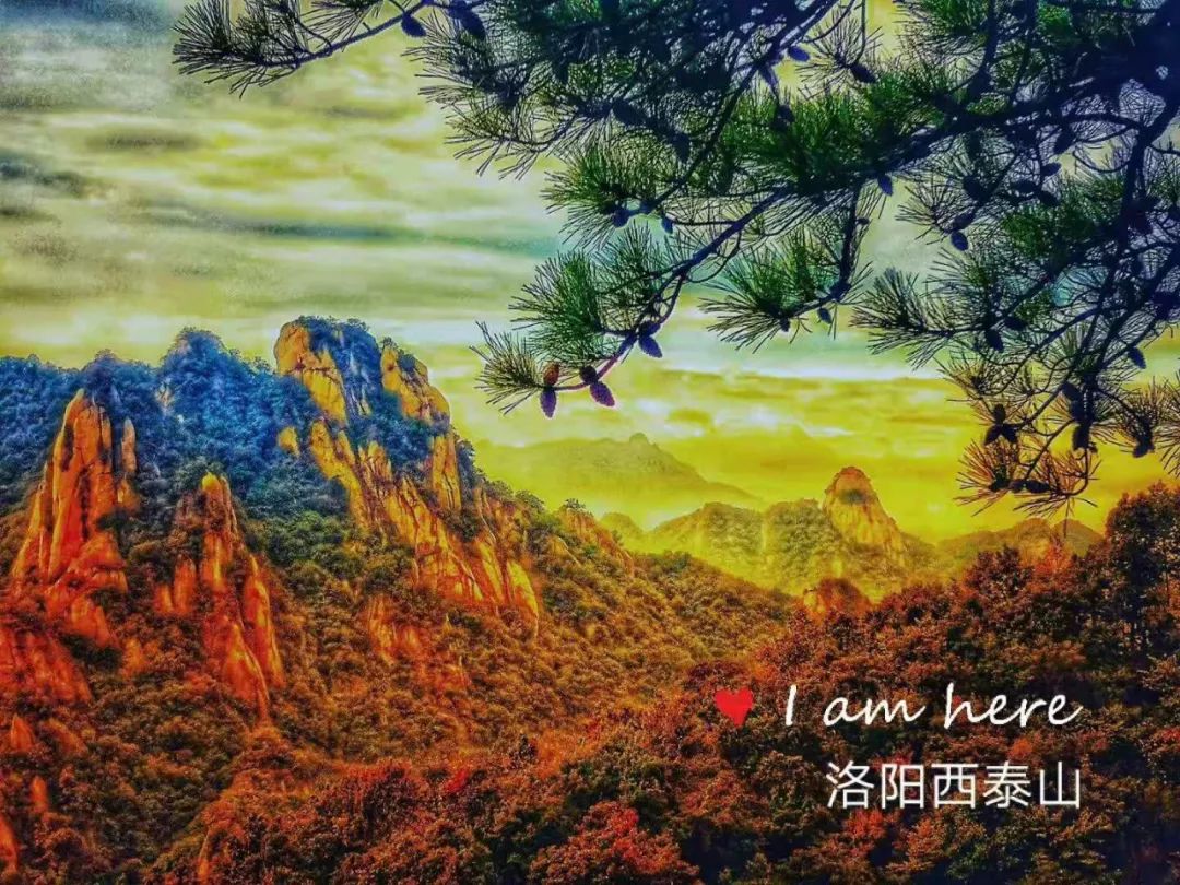 洛阳19家4a级景区免门票,洛阳凭机票所有旅游景点免门票