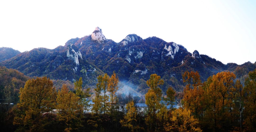 洛阳19家4a级景区免门票,洛阳凭机票所有旅游景点免门票