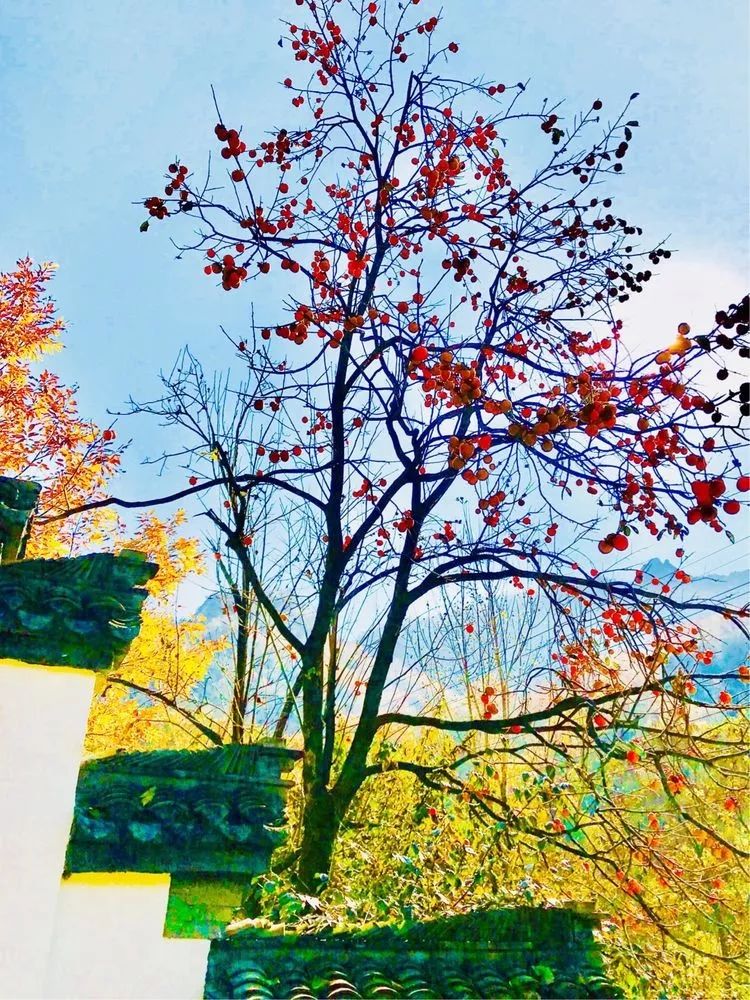 洛阳19家4a级景区免门票,洛阳凭机票所有旅游景点免门票