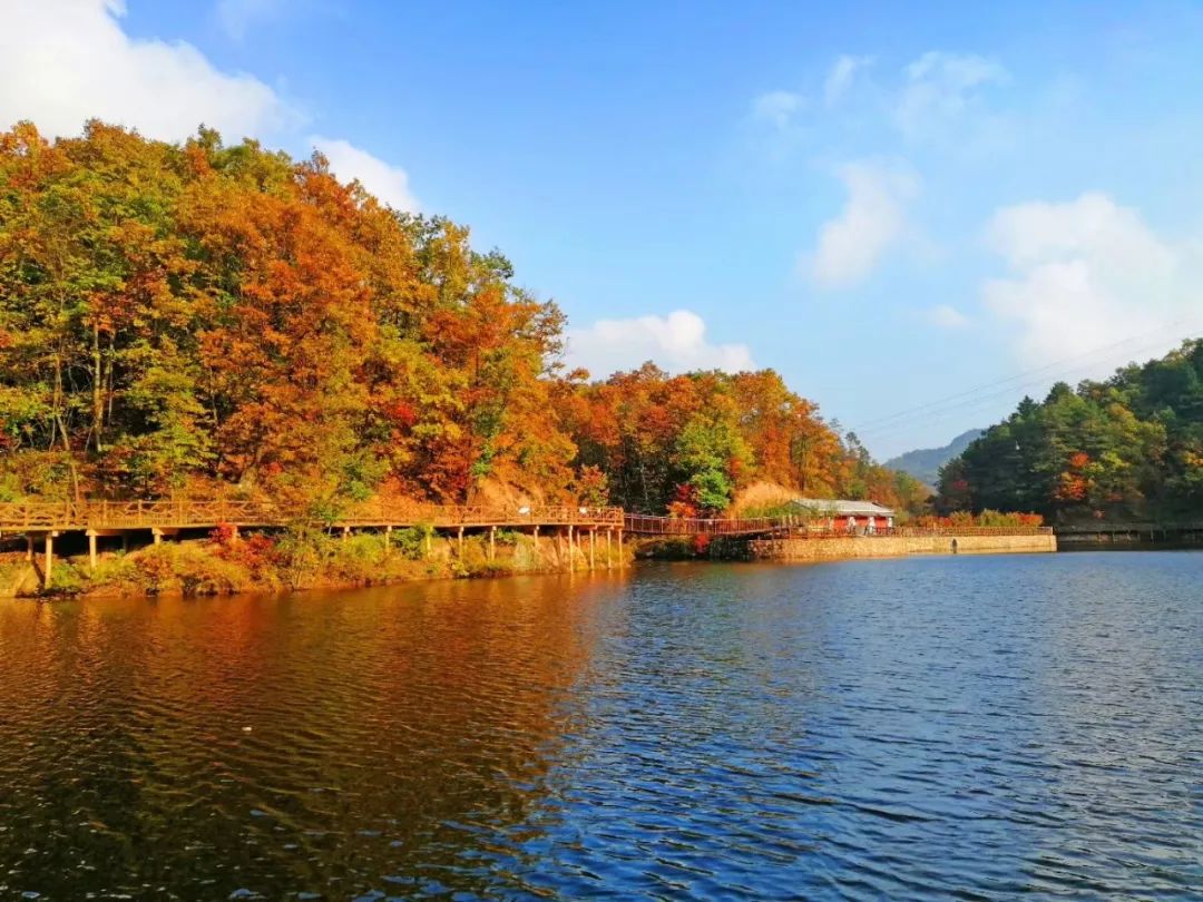 洛阳19家4a级景区免门票,洛阳凭机票所有旅游景点免门票