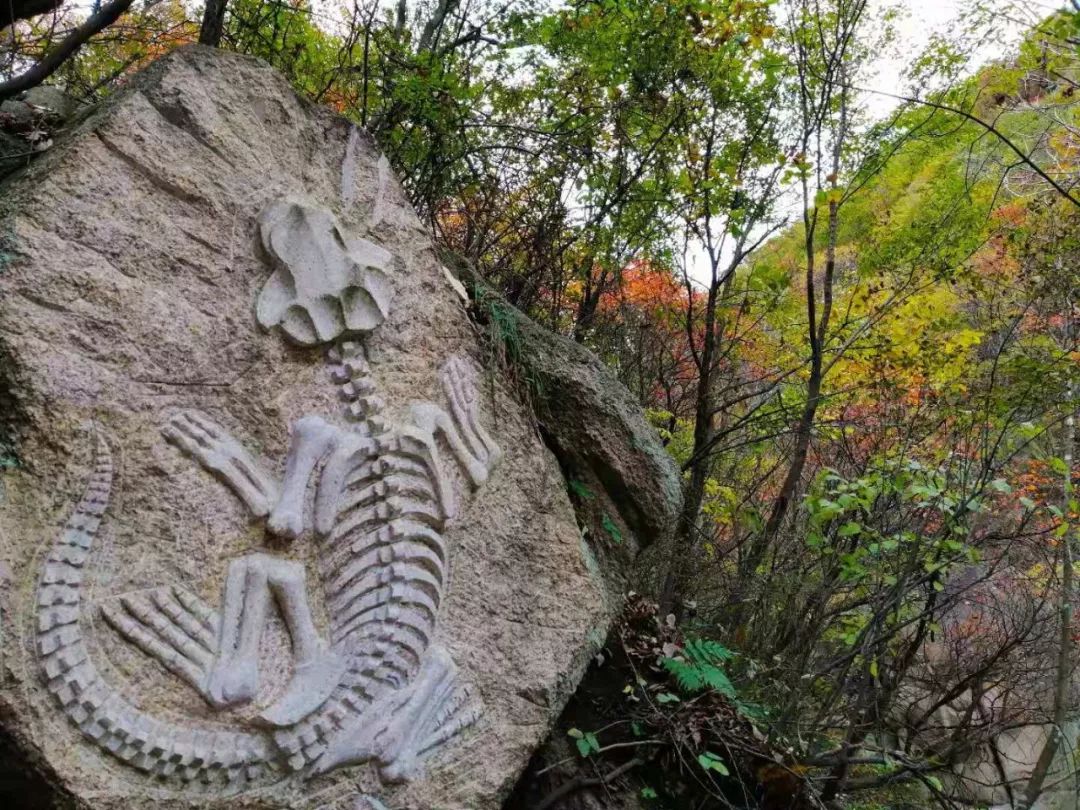 洛阳19家4a级景区免门票,洛阳凭机票所有旅游景点免门票