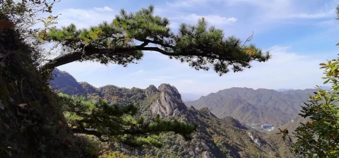 洛阳19家4a级景区免门票,洛阳凭机票所有旅游景点免门票