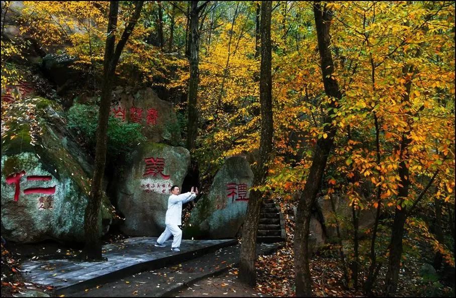 洛阳19家4a级景区免门票,洛阳凭机票所有旅游景点免门票