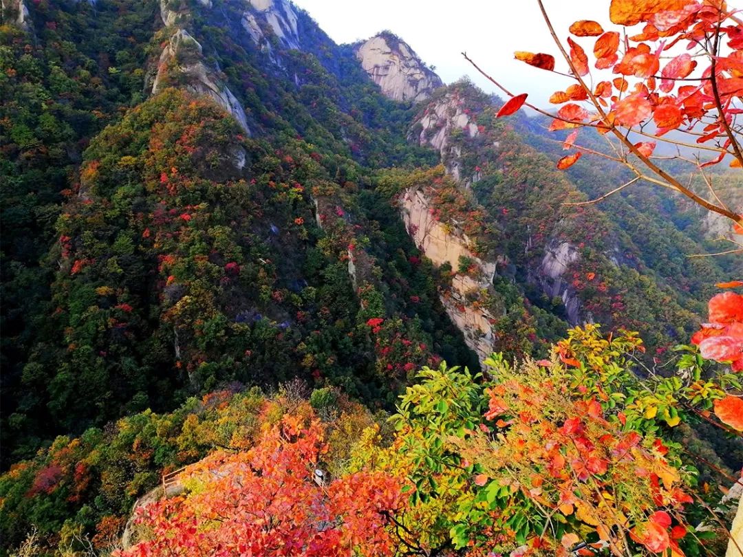 洛阳19家4a级景区免门票,洛阳凭机票所有旅游景点免门票