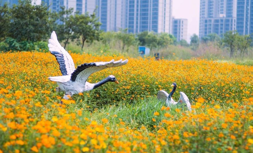 满城尽带黄金甲！在佛山，就能感受秋日童话的浪漫