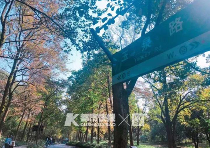 蔡元培故居再出售,杭州蔡元培故居房价