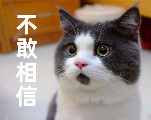 2019年马上就要过去,2019英语学习方法