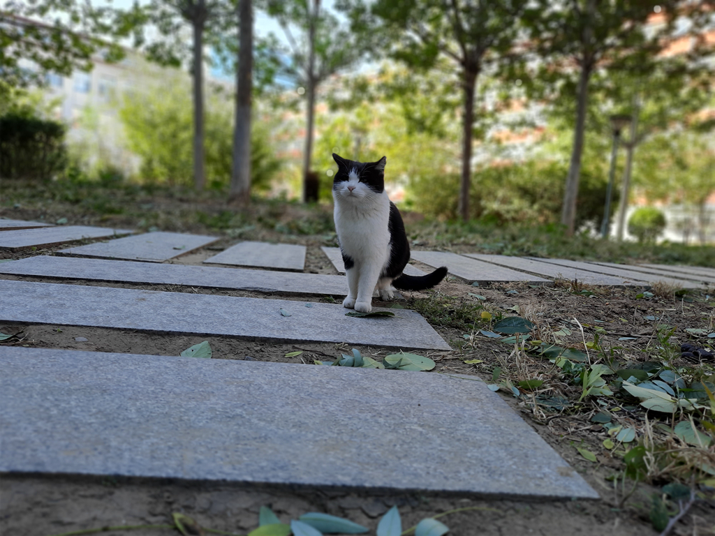 三星galaxya50s小白评测,三星galaxya50玩游戏测评