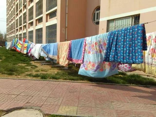 被子放久了潮湿怎么办,被子没有发霉怎么去除异味