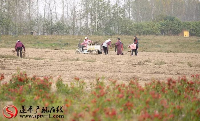 来村网创始人李敏：用心打造电商平台，不忘初心助力脱贫