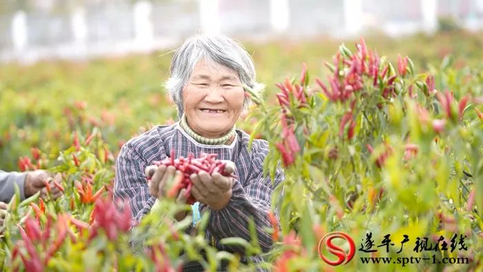 来村网创始人李敏:用心打造电商平台,不忘初心助力脱贫