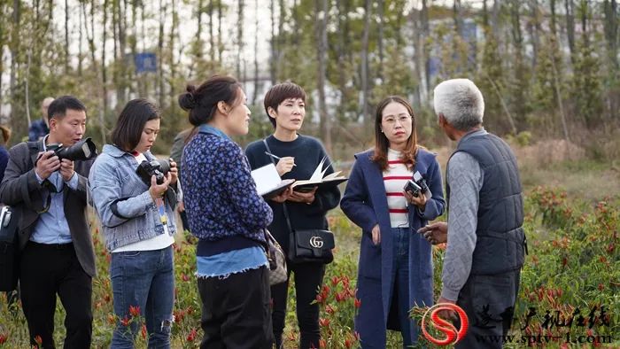 来村网创始人李敏:用心打造电商平台,不忘初心助力脱贫