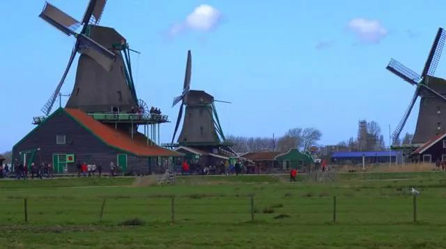 全球最大最好看的花卉市场,世界最大花卉交易市场