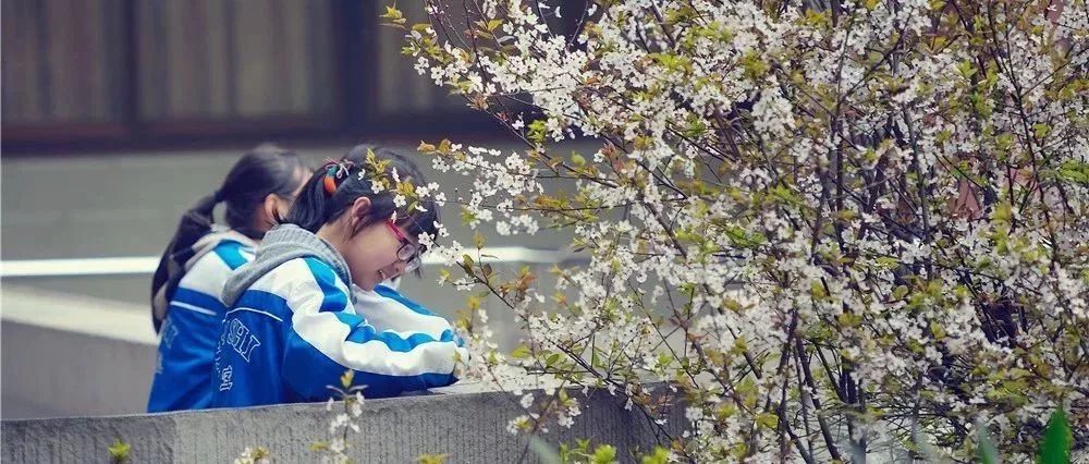 成都天府四中是什么样的学校,成都四中是山里的学校