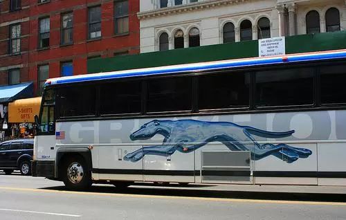 鐣欏鐢熷父鐢╝pp鍚冨枬鐜╀箰,鍑哄浗鍚冨枬鐜╀箰app